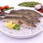 Viraal Fish
